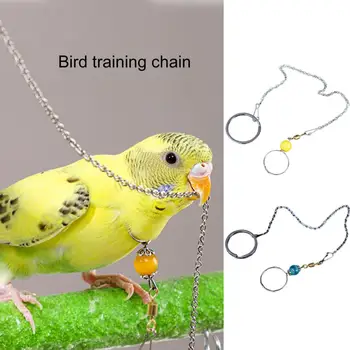 1 Takım Pürüzsüz Kuş Eğitim Zinciri Kuş dostu Bite Dayanıklı Dolaşmayan Papağan Şakayık Uçan Eğitim evcil hayvan malzemeleri Küçük Evcil Hayvan