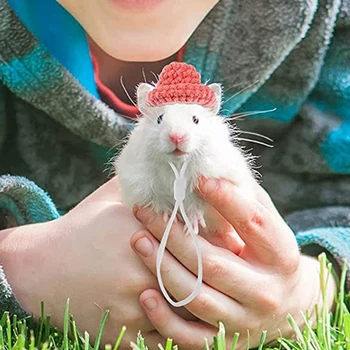 Örme Hamster Şapka Bere Kobay Sincap Chinchilla Kirpi Ayarlanabilir Kayış Şapka Pet Küçük Hayvan Cosplay Dekorasyon